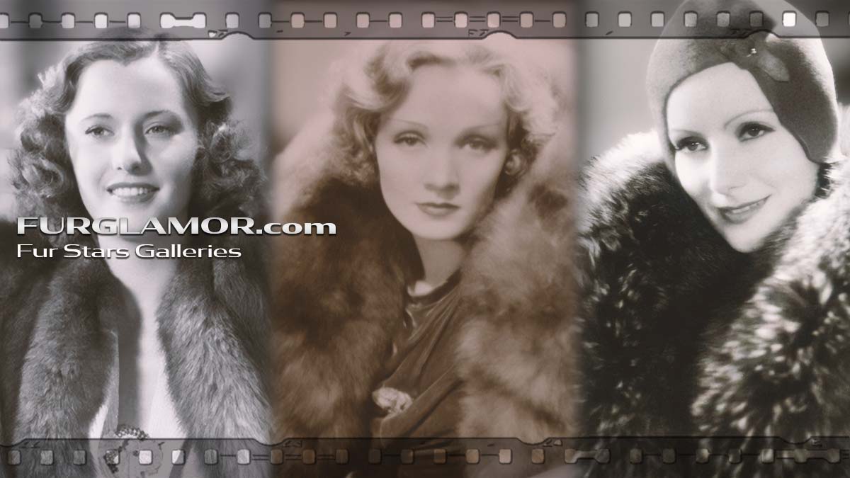 FurGlamor Featured Image - StarGallery